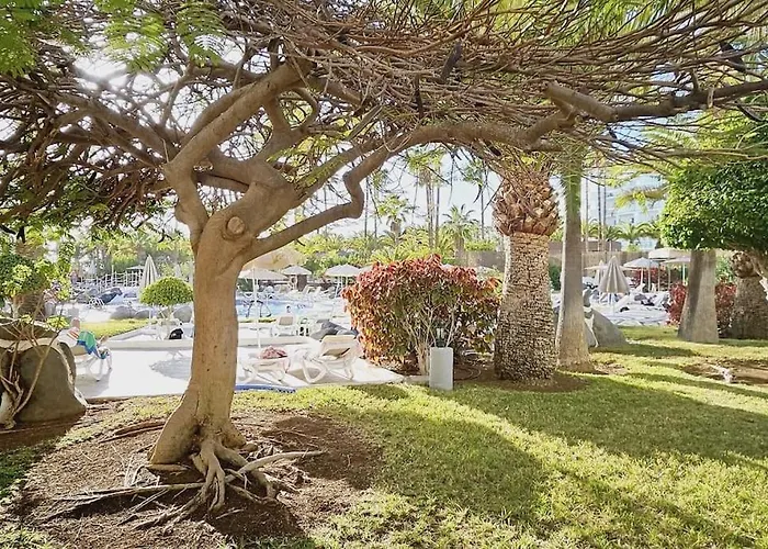 Apartamento Altamira Paradise Costa Adeje (Tenerife)