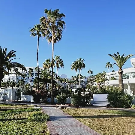 Altamira Paradise