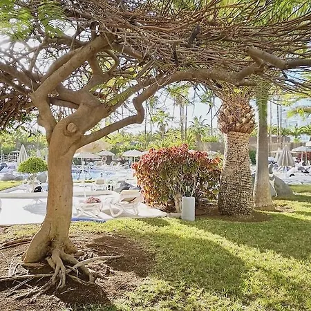 Apartamento Altamira Paradise Costa Adeje (Tenerife)